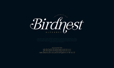 Birdnest swash luxury elegant alphabet letters and numbers. Vintage wedding typography classic serif font decorative vintage retro. creative vector illustration