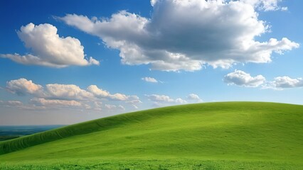 Fototapeta premium green field and blue sky with clouds