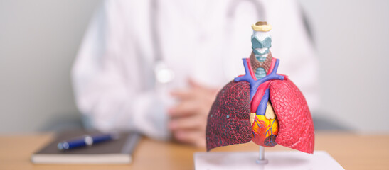 Doctor with Respiratory system anatomy for Diseases. Lung Cancer, Asthma, Chronic Obstructive...