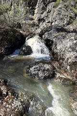 a stream of spring water runs down between moss-covered rocks