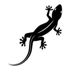 Vector lizard on white background