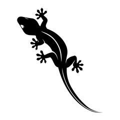 Lizard vector on a white background