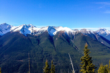 Fototapeta premium landscape with snow
