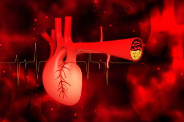 3d rendered human heart isolated on white background
