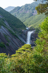 Fototapeta premium 屋久島の千尋の滝