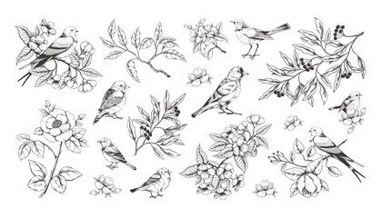 Vintage flowers and birds. Floral blossom in butterfly garden, victorian black old tree, spring apple cherry or pear. Engraving forest sparrow and bluebird. Vector design sketch illustration © SpicyTruffel