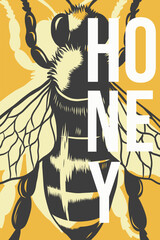 Honey production poster vector engraved illustration. Advertisement placard with bee. Internet shop design template for local honey product, farm market, propolis store, royal jelly.