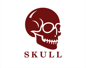 Skull Logo Design Vector Template. Skull Head Vector
