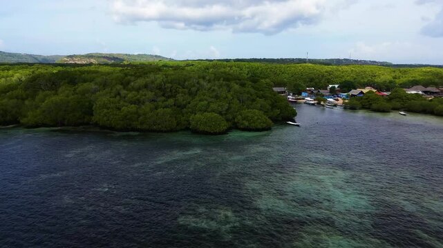 Aerial view of Mangrove forest in Jungutbatu, Nusa Lembongan, Bali, Indonesia