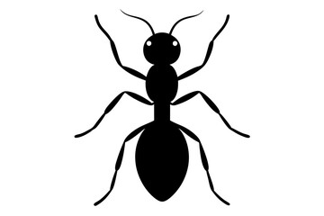 Modern vector illustration of ants black silhouette on white background with a stylish and clean look