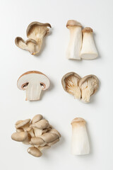 Mushrooms, concept of autumn food, autumn harvest