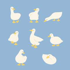 This is an illustration of a cute duck in various poses.
귀여운 오리 캐릭터 일러스트 모음