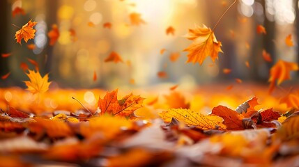 Lively closeup of falling autumn leaves with vibrant backlight from the setting sun