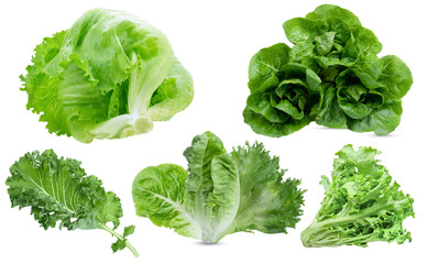 Head of fresh organic lettuces salad on white background. Healthy food concept with copy space. premium photo PSD  on transparent.