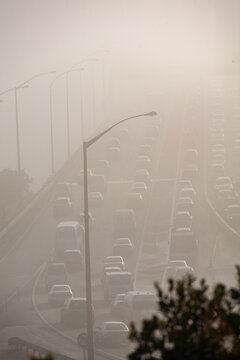 traffic ques foggy morning auckland bridge