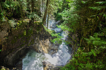 Obraz premium Downstream water from the Cascade Falls located Northeast of Mission, British Columbia, Canada