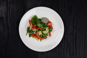 Fresh vegetable salad of cucumbers, tomatoes, raddish, bell pepper, basil and olive oil.