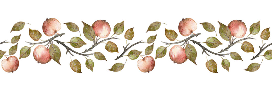 Seamless autumn horizontal apples and leaves. Hand drawn watercolor fruit border. 
