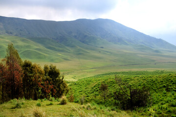Beautiful natural scenery of the savanna around Mount Bromo Indonesia