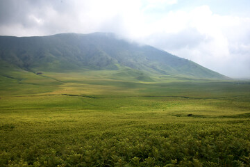 Obraz premium Beautiful natural scenery of the savanna around Mount Bromo Indonesia