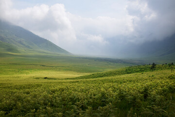 Fototapeta premium Beautiful natural scenery of the savanna around Mount Bromo Indonesia