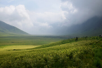 Fototapeta premium Beautiful natural scenery of the savanna around Mount Bromo Indonesia