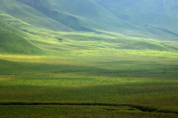 Beautiful natural scenery of the savanna around Mount Bromo Indonesia