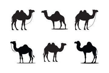 Set of camel icon silhouettes. Camel Graphic Silhouette Logo Design vector white background.