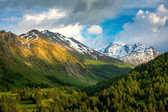Green trees and mountain rodge in France.