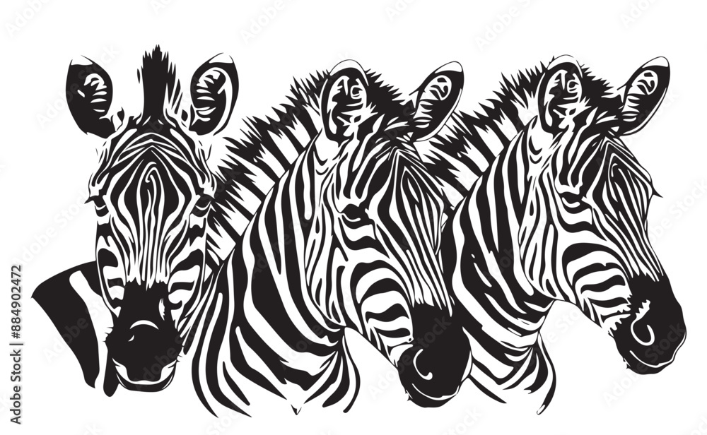 Poster zebras black and white illustration