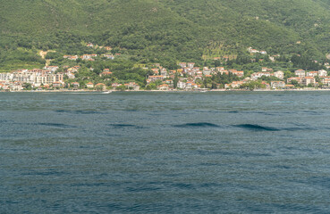 Bay of Kotor also known as the Boka views, popular Balkan coastline