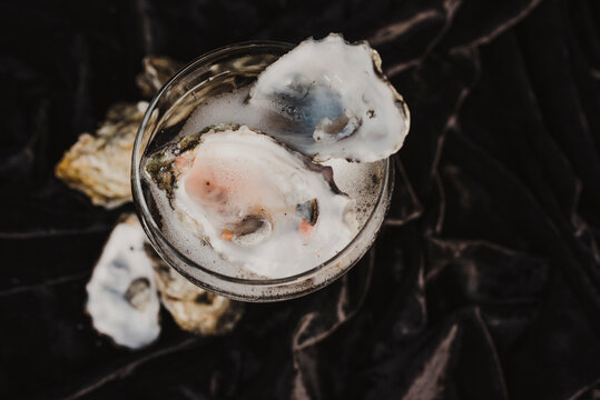 Fresh oysters in a coupe on a dark background.
