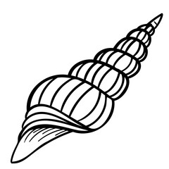 Hand drawn outline seashell
