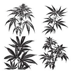Creative Black Weed Vector Silhouette Art,
Modern Black Weed Vector Silhouette Illustration