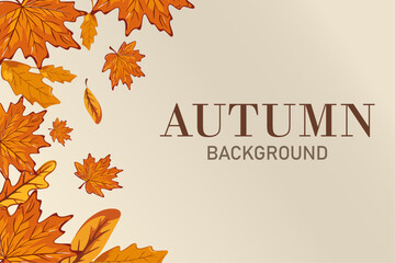 Autumn leaves background. Frame or autumn banner with orange bright leaves. Autumn concept.