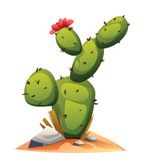 Cactus vector illustration isolated on white