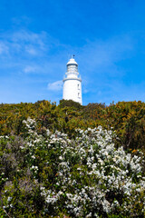 Bruny Cape, Lighthouse, Island, Tasmania Wilderness, Australia 