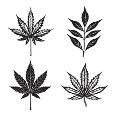 Creative Black Weed Vector Silhouette Art,
Modern Black Weed Vector Silhouette Illustration