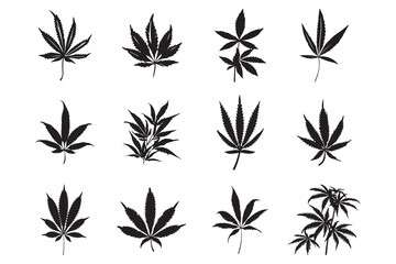 Creative Black Weed Vector Silhouette Art,
Modern Black Weed Vector Silhouette Illustration