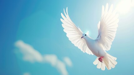 Elegant bird gliding in clear blue sky on sunny day in natural habitat