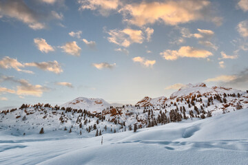 snow covered mountains
