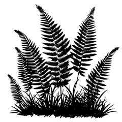 Naklejka premium Black Fern Silhouettes in Natural Setting, Black silhouettes of ferns in natural settings, displaying the detailed and intricate patterns of fern leaves against a white background.