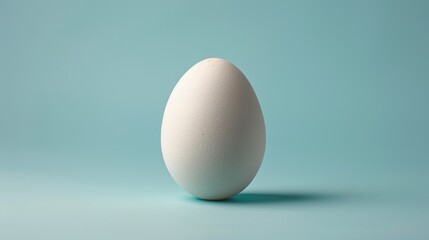 A chicken egg with an elegant, minimalist design, set against a beautiful soft blue background, positioned on the right side