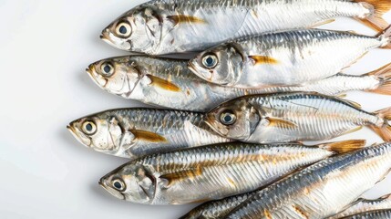 Herring fish arranged on white background frozen group atlantic fish pattern texture space for text