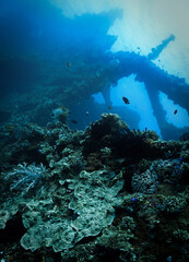 Underwater photo of the USS Liberty shipwreck from World War Two, WWII. From a scuba dive in Bali, Indonesia, Asia