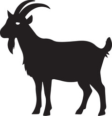 goat isolated on white background