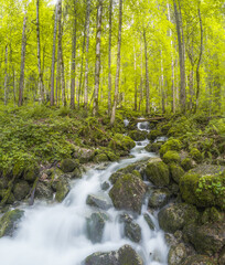 Fototapeta premium Rothbach Waterfall near Konigssee lake in Berchtesgaden National Park, Germany