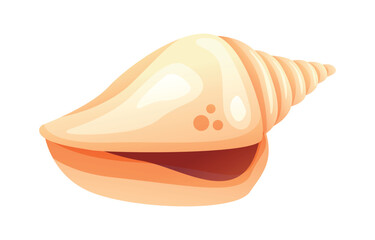 Vector cartoon of a cream conch seashell. Illustration isolated on white background