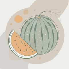 pumpkin in the style of line art with colored spots. vector illustration