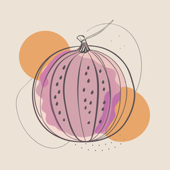 pumpkin in the style of line art with colored spots. vector illustration